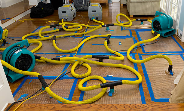 Professional Structural Drying And Dehumidification technician working in Silver Spring, MD